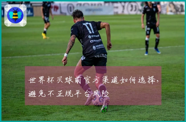 世界杯买球前官方渠道如何选择，避免不正规平台风险