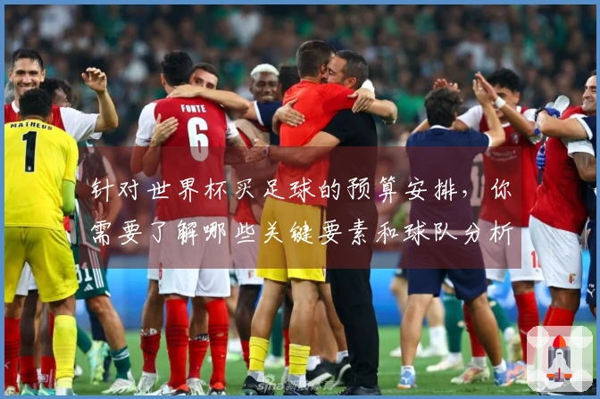 针对世界杯买足球的预算安排，你需要了解哪些关键要素和球队分析？