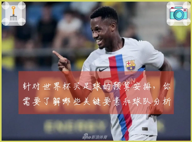 针对世界杯买足球的预算安排,你需要了解哪些关键要素和球队分析?