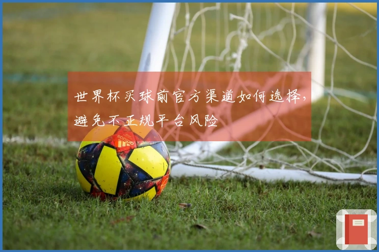 世界杯买球前官方渠道如何选择，避免不正规平台风险